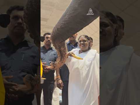 Thiruvonam Celebrations with Amma's Largest Child