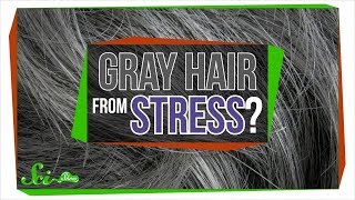 Will Stress Really Make You Go Gray?