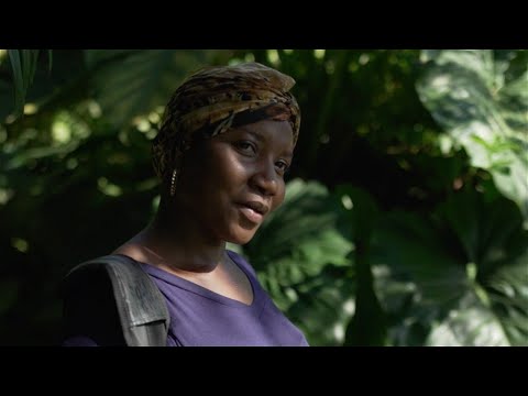 Freetown Collective - Love Over Everything - Act 3