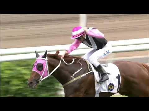 24/4/2022 (608) Beauty Joy - Z Purton