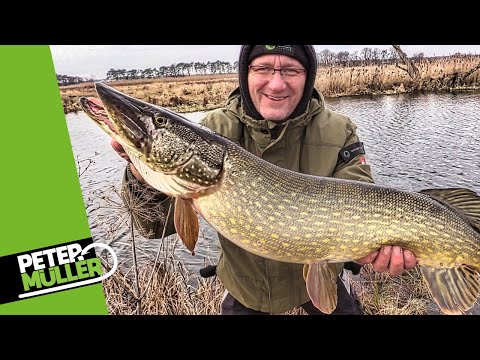 Hechtangeln - Kleiner Köder - großer Hecht | Fishing | #pike #fishing
