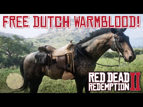 Dokument let at håndtere præmie Free Missouri Fox Trotter? :: Red Dead Redemption 2 综合讨论