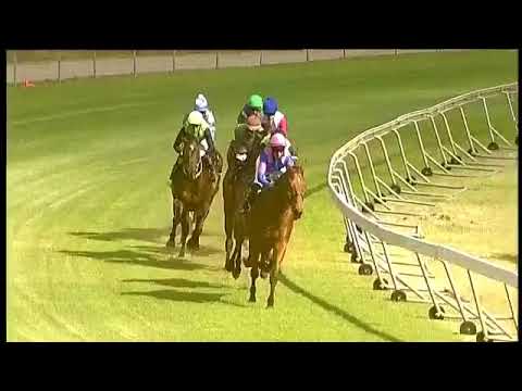 2017.12.02 Green Point Stakes (RSA) - Legal Eagle