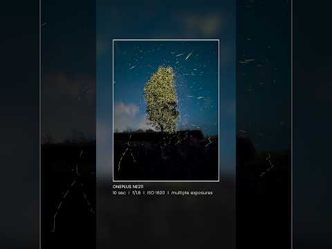 Fireflies in its full glory shot on Phone.  #behindthescene #shorts #creative #photography