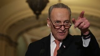 Chuck Schumer pushing senators to oppose Trump's picks