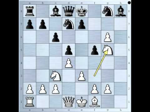 Dobro isplanirana razmena figura - THALLINGER vs GAYAS - Holandska odb. # 496