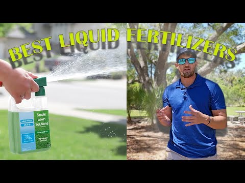 The Best Liquid Fertilizers For St. Augustine Grass | And All Other Warm Season Grass!!