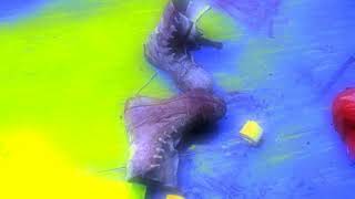 Handsome Furs – Damage