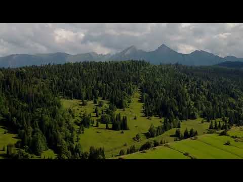 Leše moj, leše moj - Ján Timko