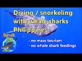 Whale Sharks Philippines - Walhai Philippinen -, Tauchsafari, Philippinen, Liveaboard, Bernds Tauchsafaris, Bernds Tauchsafaris, Bohol