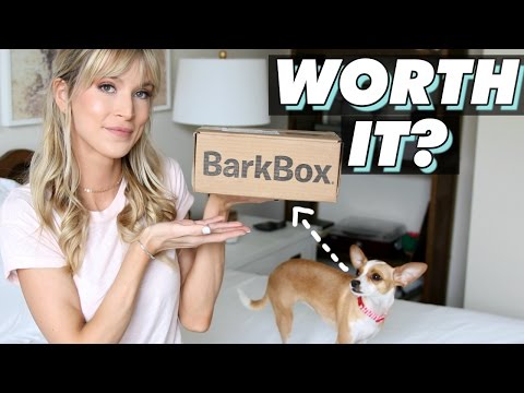 IS BARKBOX WORTH IT? | Luna's Borkbox Unboxing | LeighAnnSays Video