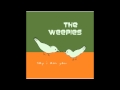 The Weepies Nobody Knows Me At All 