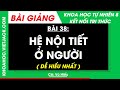 Bài 38. Hệ nội tiết ở người