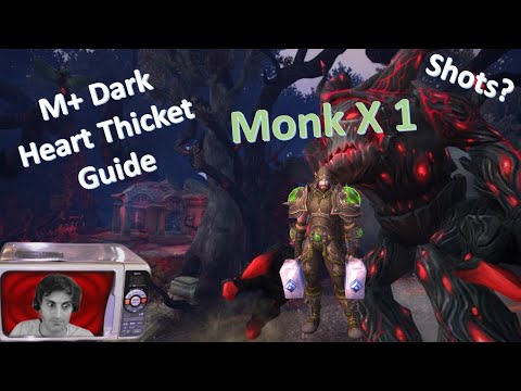 Darkheart Thicket 1/4 | Dragonflight Season 3 M+ Guide