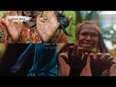 Discovering the Heart of the Dani Tribe: Culture, Tradition, and Resilience