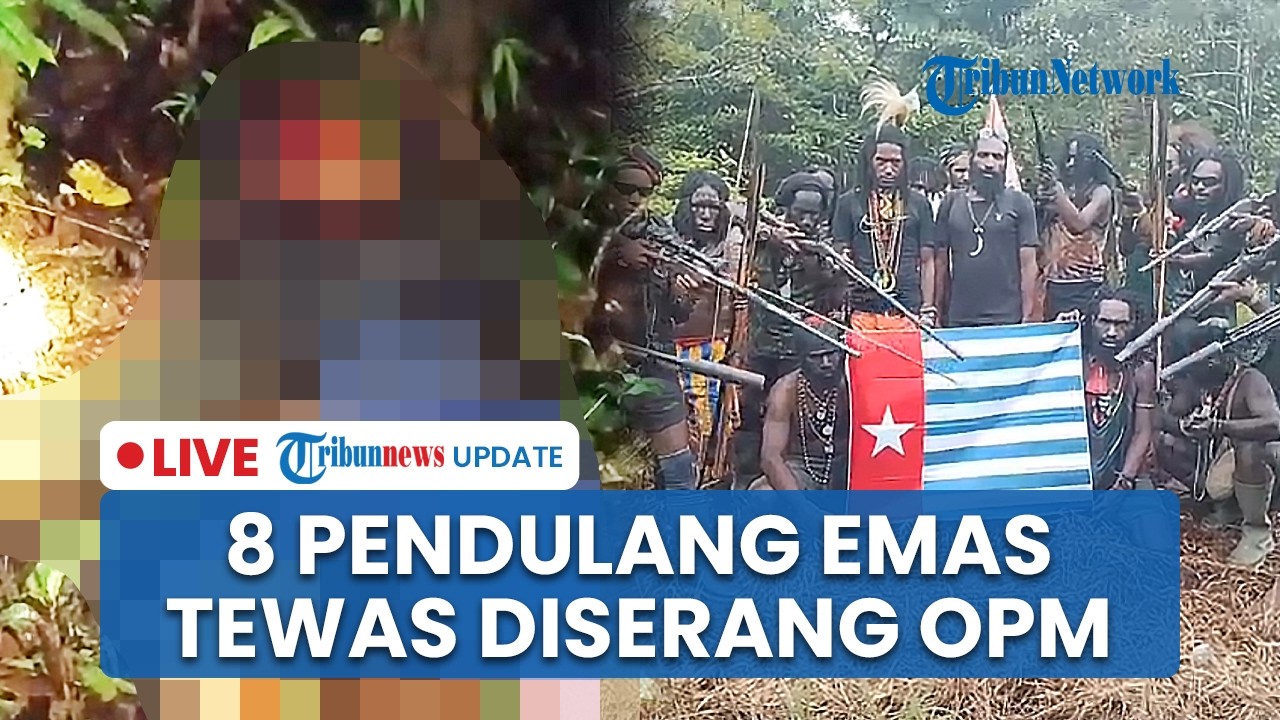 LIVE: OPM Tembak 8 Pendulang Emas hingga Tewas di Yahukimo usai Dituding Mata-mata, TNI Buru Pelaku