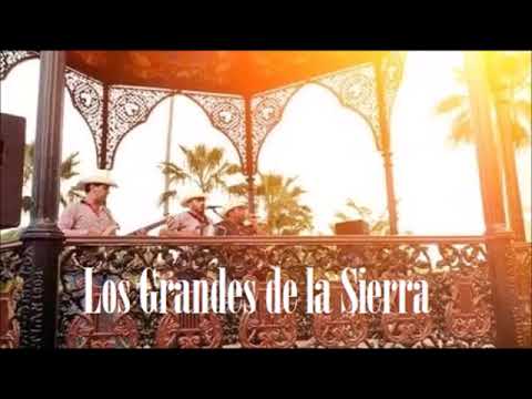 LOS GRANDES DE LA SIERRA 2017 BLANCA GARDENIA