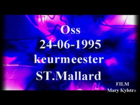 Bouvierkeuring tentoonstelling Oss 1995