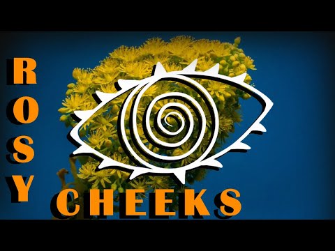 Rosy Cheeks (Lyric Video) - Zerango