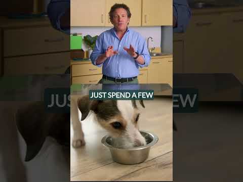 MORE WAYS to Adjust Your Dog to Healthy Food | Nutra Complete  | Ultimate Pet Nutrition