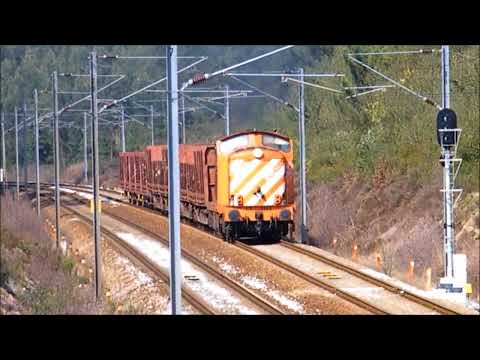 Comboio Especial n.º 92218 - Portela