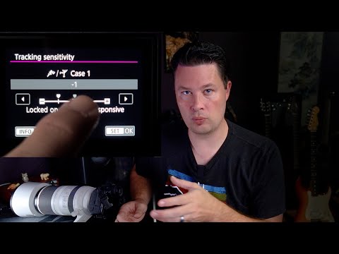 WILDLIFE PHOTOGRAPHY Q & A: How I Set My AF Case Settings For Canon R5 and R6