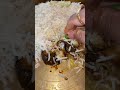 Bengali Lunch Thali Love Arrahman Song Music Movie Trending Food Foodie Trending Shorts
