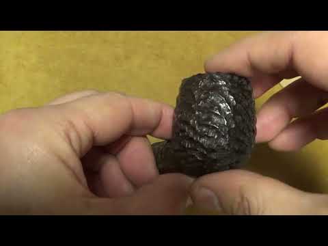 Pipa Peterson 160th Anniversary (Pat. OB) - Rusticata - Limited Edition 2025 n. 87/2400