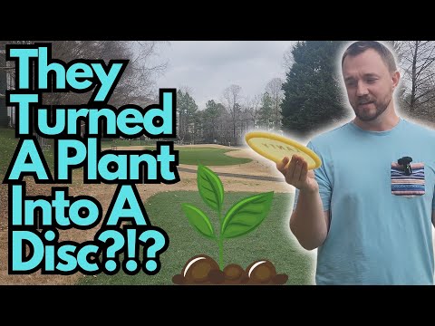 Clash Discs Did What?!?