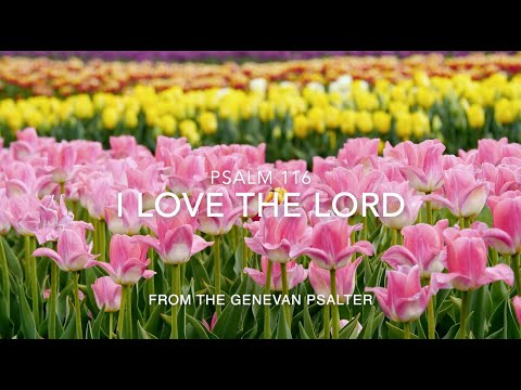 Psalm 116 from the Genevan Psalter - with children's choir