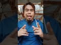 All Types Of 4yam Fighting Styles According To Bang Antoni