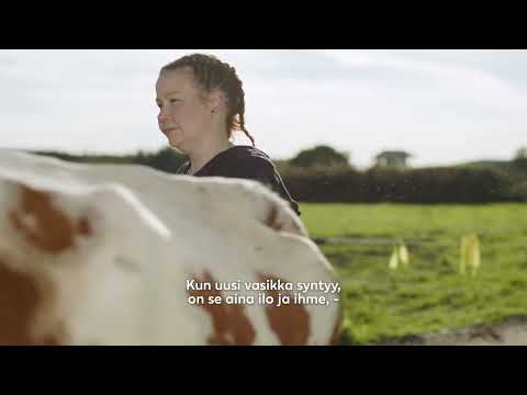 LähiTapiola Vellamo: Peräkylän tilan asiakastarina rohkeudesta