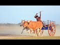 மாட்டு வண்டில் சவாரி