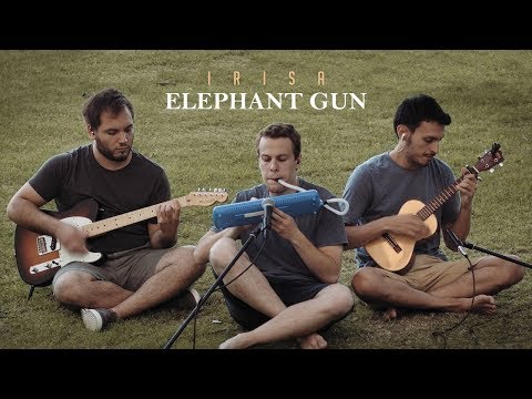 Elephant Gun – Beirut (Cover by IRISA)