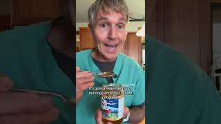 Safe Weight Loss Plan for Overweight Dogs and Cats