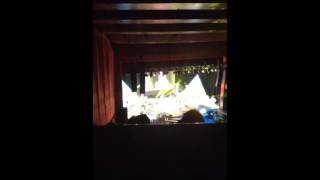 Download lagu Jalinan Cinta - DCT - Where The Heart Is Concert mp3