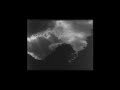 ORCHIDÉE NOIRE - Déesse lacrymale 