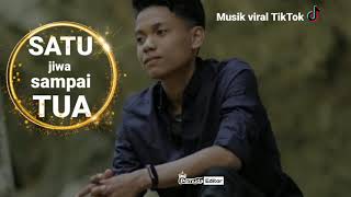 Download lagu ARIEF - SATU JIWA SAMPAI TUA ( musik viral) mp3
