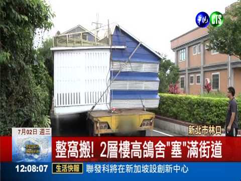 驚險! 鴿舍搬家宛如"移動城堡"