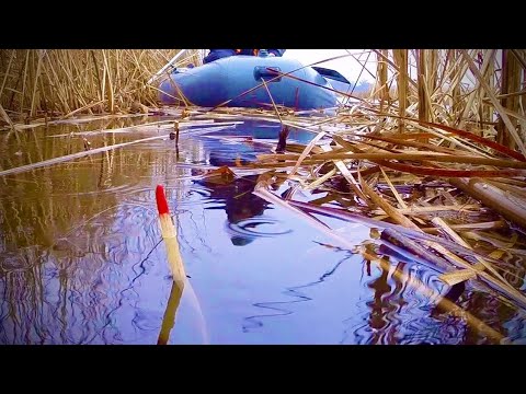 Ловля КАРАСЯ в Декабре на ПОПЛАВОК! Варю УХУ в ЛОДКЕ!