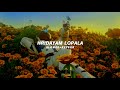 Hridayam Lopala Slowed Reverb Anirudh