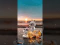 Tere Sang Sang Rehke Me Rang Jau Cute Love Whatsapp Status