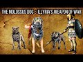 Molossus Dogs of Illyria: : The Fearless  Dogs of Illyrian Battlefields | Illyria - Epirus