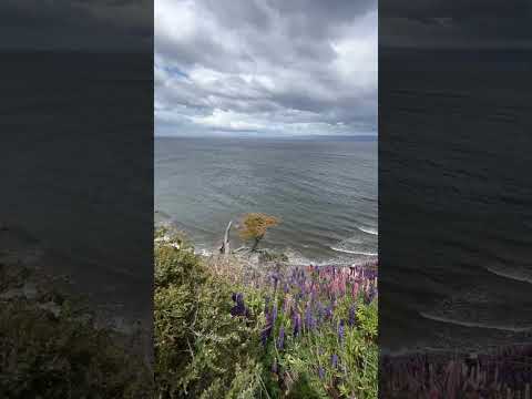 Río Verde, región de Magallanes