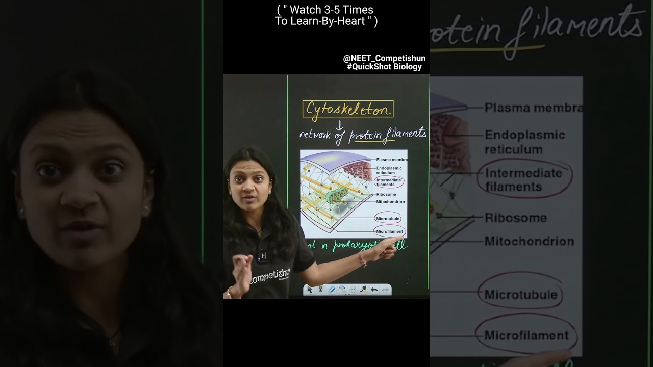 Understand The Structure Of 