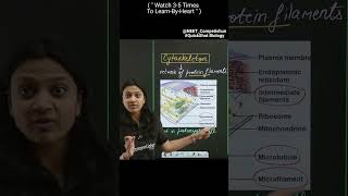 Understand The Structure Of 