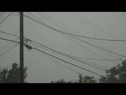 Thunderstorm with Hail 52019