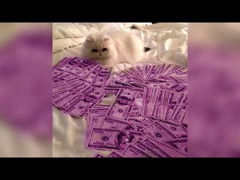 Video thumbnail for WE CHASIN HUNDOS TRYNA STAKK DIFFERENT COLOR HUNDOS