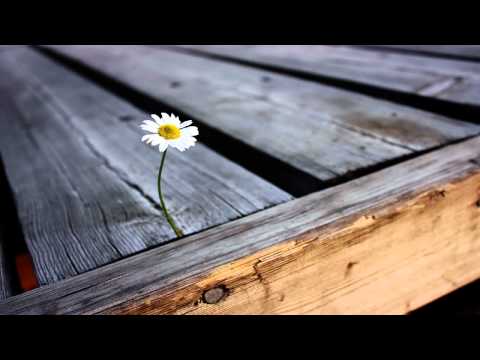 Mossy - Growing Flowers (Original Mix)