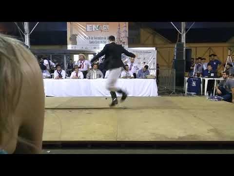 William Cantareli VS Leonardo Silvano   ENART 2018 Semi Final 2